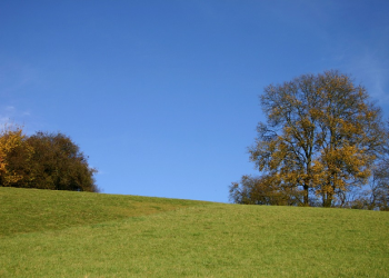 Pembekalan Yang Effektif, Tadabbur Surat Al Muzammil (Bag.3)