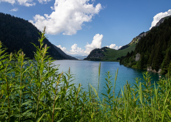 Ya Allah Aku Harus Bagaimana?