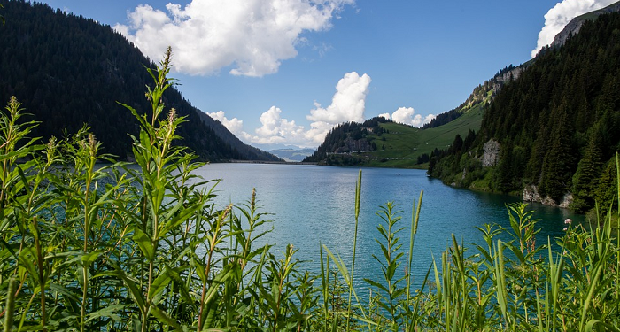 Ya Allah Aku Harus Bagaimana?