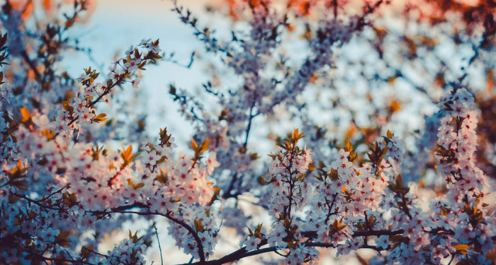 Surat Al-Fatihah Ayat 2, Segala Puji bagi Allah