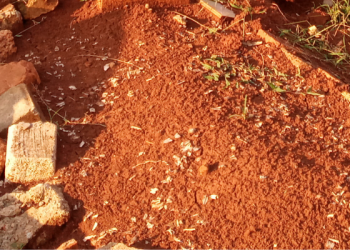 Suka Nonton Film, Begini Cara Mengembangkan Diri dari Film