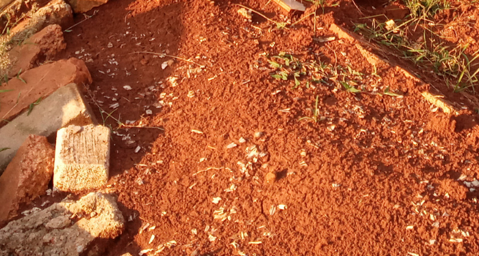 Suka Nonton Film, Begini Cara Mengembangkan Diri dari Film