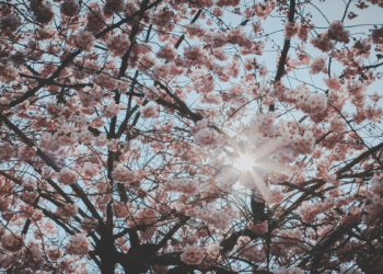 Memupuk Empati Generasi Z