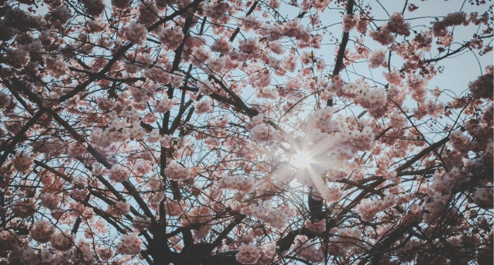 Memupuk Empati Generasi Z