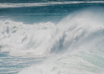 Pertempuran Zallaqah, Pertempuran yang Mempertahankan Andalusia