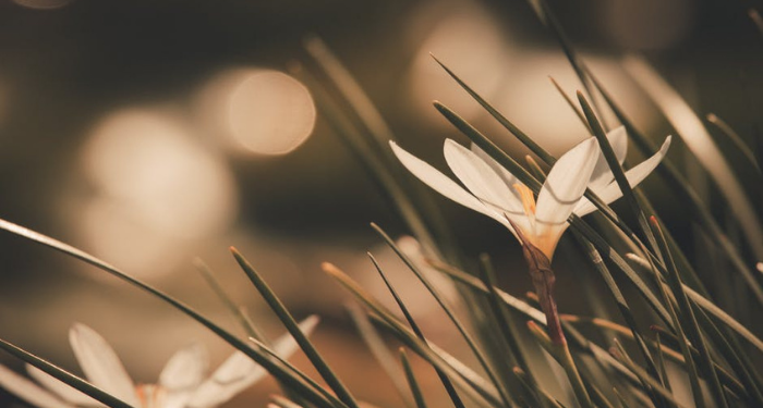 Tiga Kisah tentang Pentingnya Arahan Ulama (2)