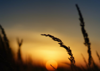 Kapan Waktu Awal dan Akhir Diperbolehkan Shalat Dhuha? (1)