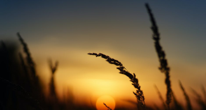 Kapan Waktu Awal dan Akhir Diperbolehkan Shalat Dhuha? (1)