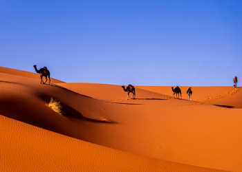 3 Urgensi Belajar Sirah Nabawiyah