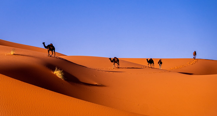 3 Urgensi Belajar Sirah Nabawiyah