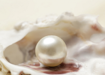 Mutiara yang Terpendam itu Bernama Said bin Amir