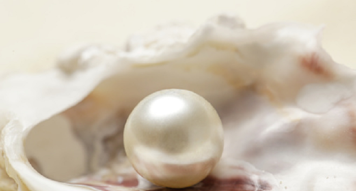 Mutiara yang Terpendam itu Bernama Said bin Amir