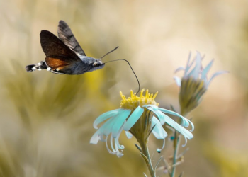 Al-A’raf 96 dan 97, Keberkahan Suatu Negeri Dilihat dari Penduduknya