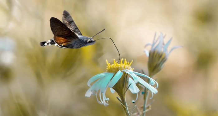 Al-A’raf 96 dan 97, Keberkahan Suatu Negeri Dilihat dari Penduduknya