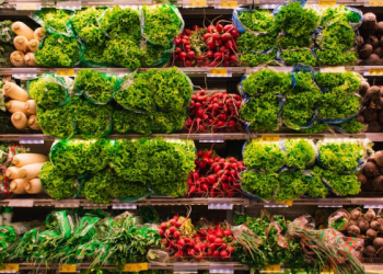 Pangan Gizi Seimbang untuk Cegah Stunting (1)