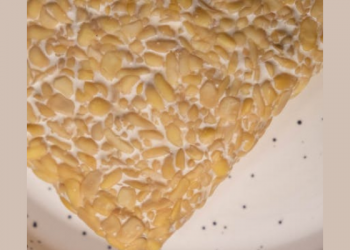 Pangan Gizi Seimbang untuk Cegah Stunting (2)