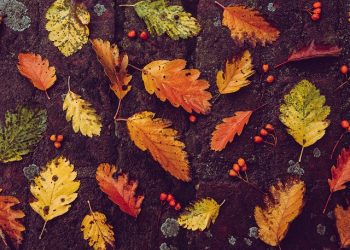 Salah satu Penghapus Amal Shalih adalah Niat Dunia