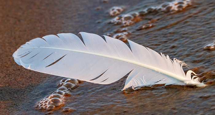 Muadz bin Jabal, Pemimpin Ulama di Hari Kiamat