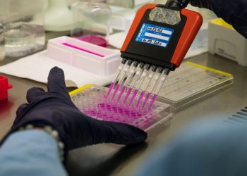 Insinyur Wanita Saudi Menangkan Penghargaan Internasional untuk Penemuan Chip Pendeteksi Kanker