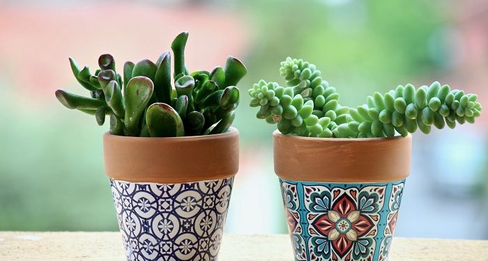 10 Penyebab Hidup Seperti Sia-sia