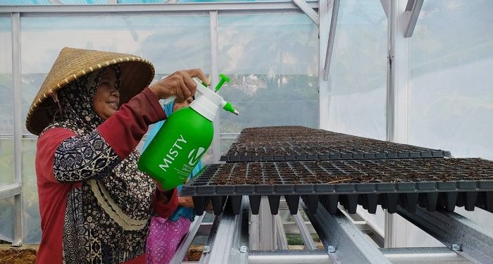 Manfaatkan Rumah Bibit, Ibu-ibu Desa Tanjungpura Semai Bibit untuk Dapur Hidup