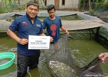 Koperasi Syariah Pelita Jampang Gemilang Sukses Budidaya Ikan Air Tawar