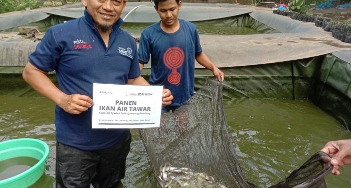 Koperasi Syariah Pelita Jampang Gemilang Sukses Budidaya Ikan Air Tawar