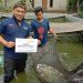 Koperasi Syariah Pelita Jampang Gemilang Sukses Budidaya Ikan Air Tawar