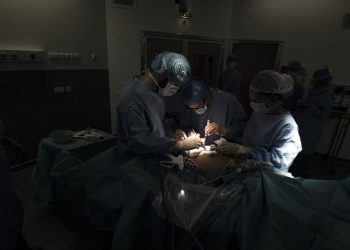 Ahli Bedah AS Berhasil Tanamkan Jantung Babi pada Manusia