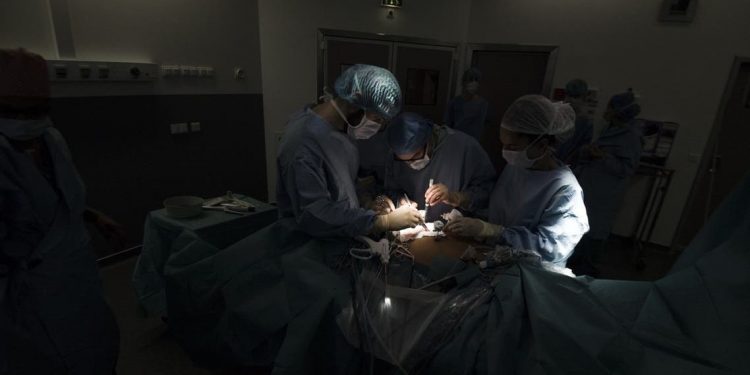 Ahli Bedah AS Berhasil Tanamkan Jantung Babi pada Manusia