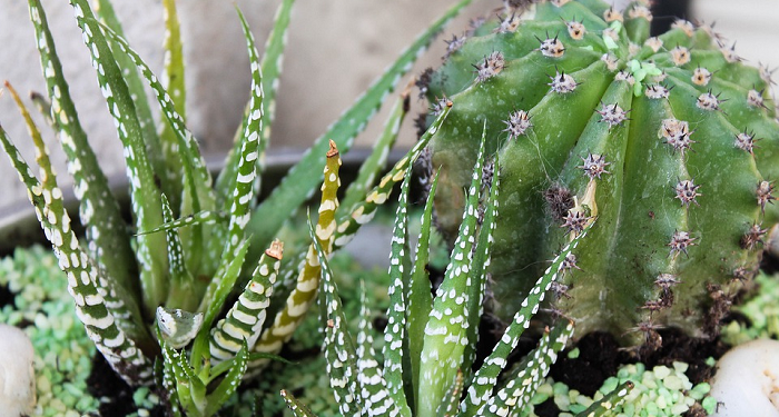 Kehati-hatian Ibnu Masud Dalam Menyampaikan Hadits
