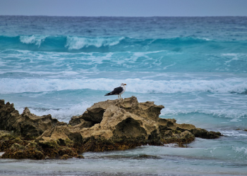 Motivasi Pagi: Puasa Asyura akan Menghapus Dosa Setahun Lalu