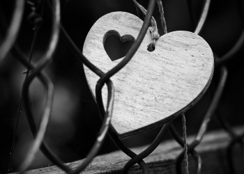 Friends Till Jannah (Bag.5 End)