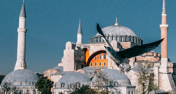 tidak perlu