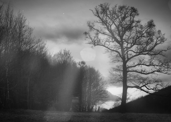 Muadz bin Jabal yang Selalu Mengingat Kematian