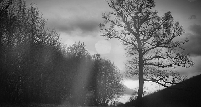 Muadz bin Jabal yang Selalu Mengingat Kematian