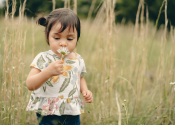 Meningkatkan Aktivitas Otak Toddler (1)