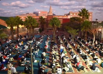 Afrika Selatan Tidak Terimbas Islamofobia Global yang Berkembang