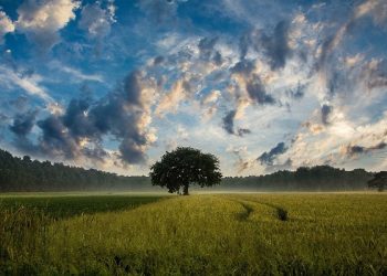 Saat Ujian Iman Datang