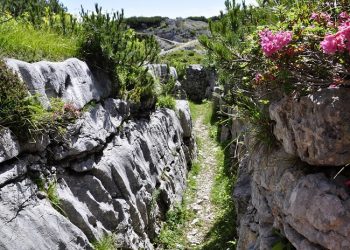 Meneladani Rasulullah pada Tempatnya