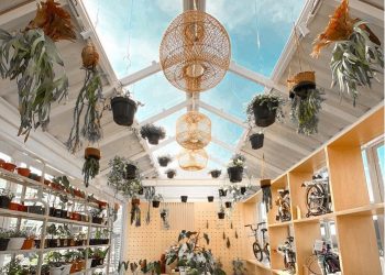 Yuk Belanja Tanaman Sekaligus Wisata Kuliner, Jakarta Tempatnya