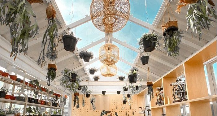 Yuk Belanja Tanaman Sekaligus Wisata Kuliner, Jakarta Tempatnya