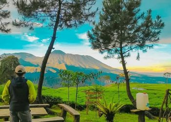Smart Camp Gunung Luhur, Sensasi Kamping di Tengah Hamparan Kebun Teh