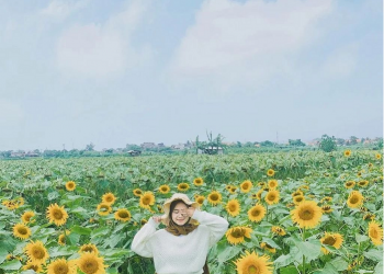 Bunga Matahari Rancaekek, Tempat Wisata Baru di Bandung