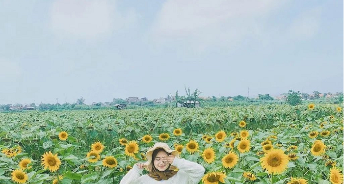 Bunga Matahari Rancaekek, Tempat Wisata Baru di Bandung