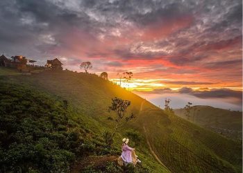 5 Rekomendasi Tempat Wisata untuk Healing