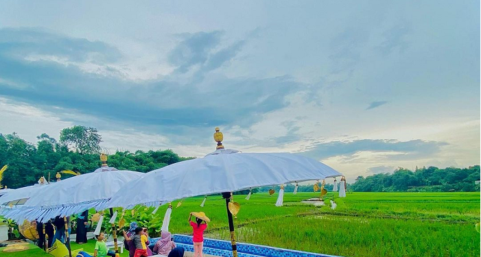 Angkringan Tepi Sawah Setu Wisata Kuliner yang Lagi Viral