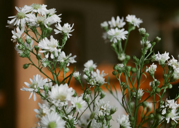 Belajarlah dari Rasulullah dan Mulailah dari Diri Sendiri