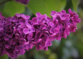 Ini 5 Cara Menjaga Pahala Pemberian terhadap Pasangan