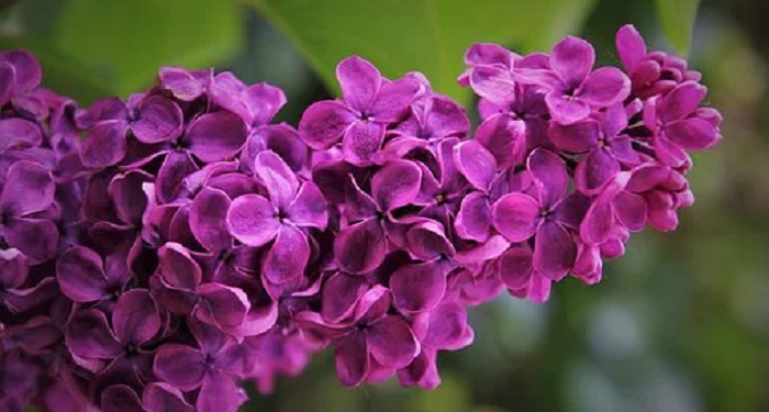 Ini 5 Cara Menjaga Pahala Pemberian terhadap Pasangan